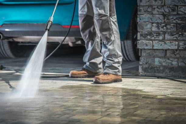 Best Spring Cleaning  in Odem, TX