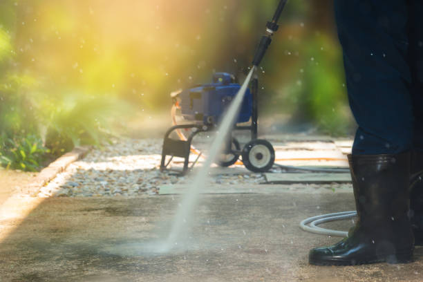 Best Patio and Deck Pressure Washing  in Odem, TX